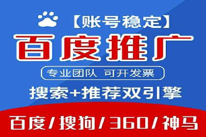 百度推广代运营案例：案例分享：打造行业领军品牌